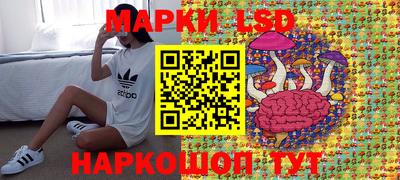 Альфа ПВП Тула